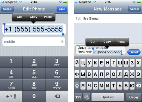 В Айфон ОС 3.0 можно будет отправлять телефоны путём копипейста из адресной книги