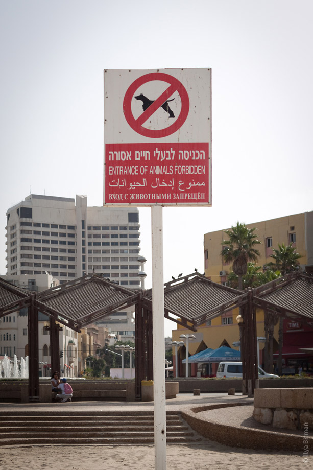 Знак, запрещающий выходить на пляж Тель-Авива с собаками